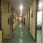 IMG 4484