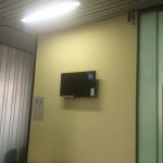 IMG 4485
