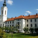 Slika8