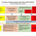 Slika1